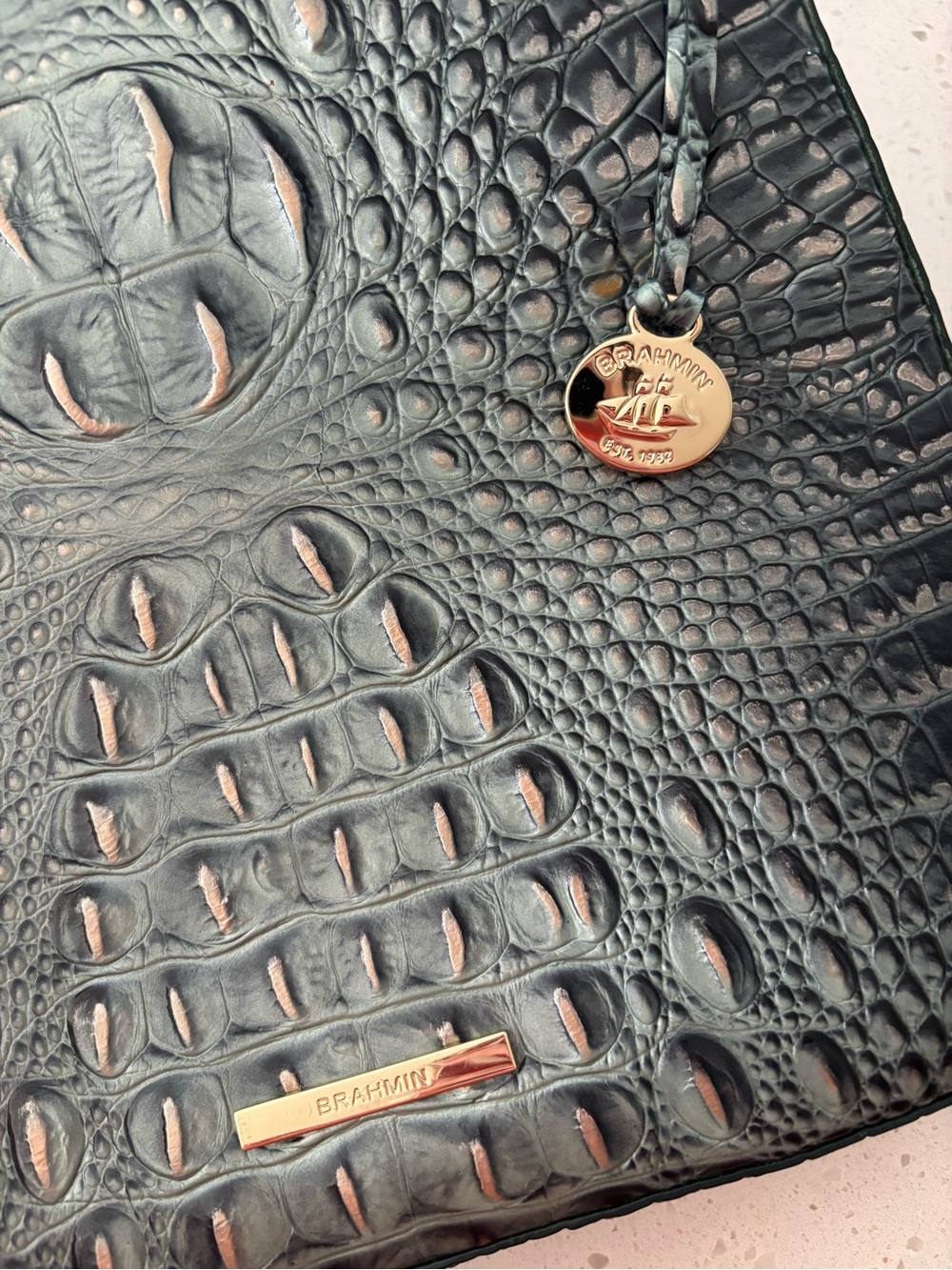 Rare Brahmin Katie Obsidian Melbourne Leather Crossbody NWOT HTF Q86 151 00535 - Picture 3 of 9